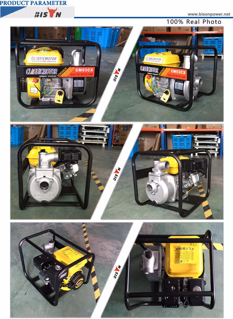 Bison 3&prime;&prime; 30m Pump Lift Gasoline Irrigation Water Pumps Sale