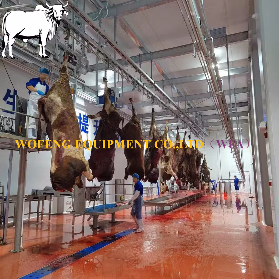 Commercial Slaughterhouse Project Halal Cattle Slaughter Equipment for Meat Cutting Line Workshop of Buffalo Abattoir Machinery