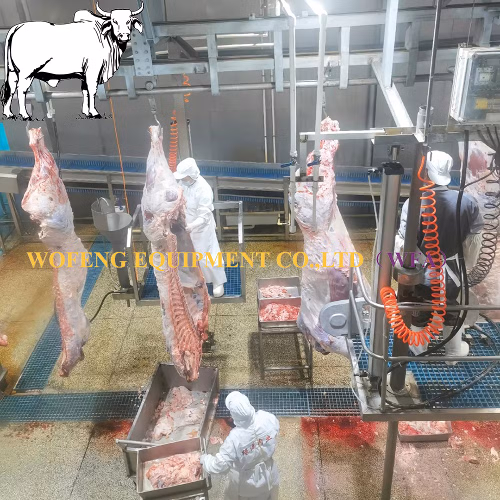 Commercial Slaughterhouse Project Halal Cattle Slaughter Equipment for Meat Cutting Line Workshop of Buffalo Abattoir Machinery