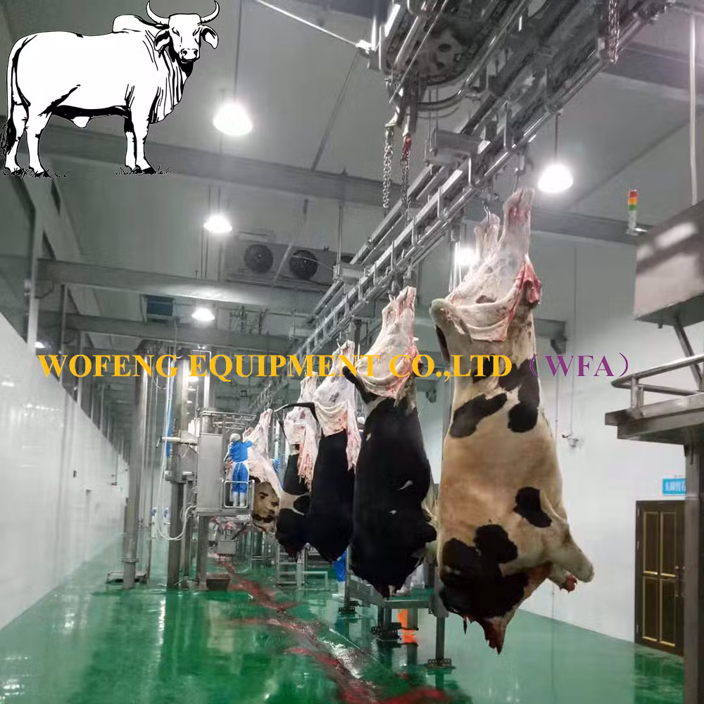 Commercial Slaughterhouse Project Halal Cattle Slaughter Equipment for Meat Cutting Line Workshop of Buffalo Abattoir Machinery