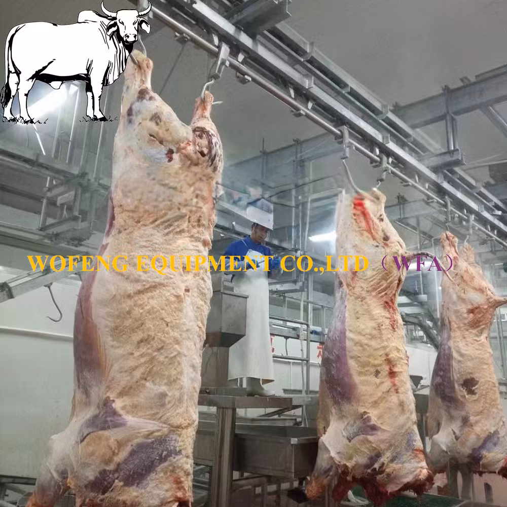 Commercial Slaughterhouse Project Halal Cattle Slaughter Equipment for Meat Cutting Line Workshop of Buffalo Abattoir Machinery