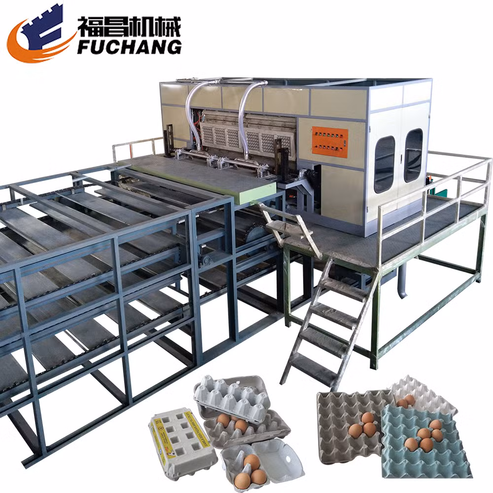 Whole Production Line of Egg Tray Machine