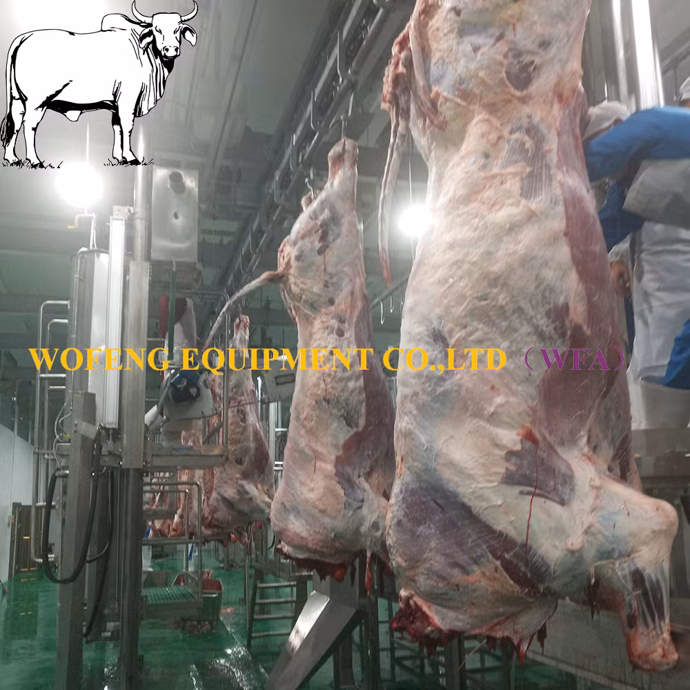 Commercial Slaughterhouse Project Halal Cattle Slaughter Equipment for Meat Cutting Line Workshop of Buffalo Abattoir Machinery