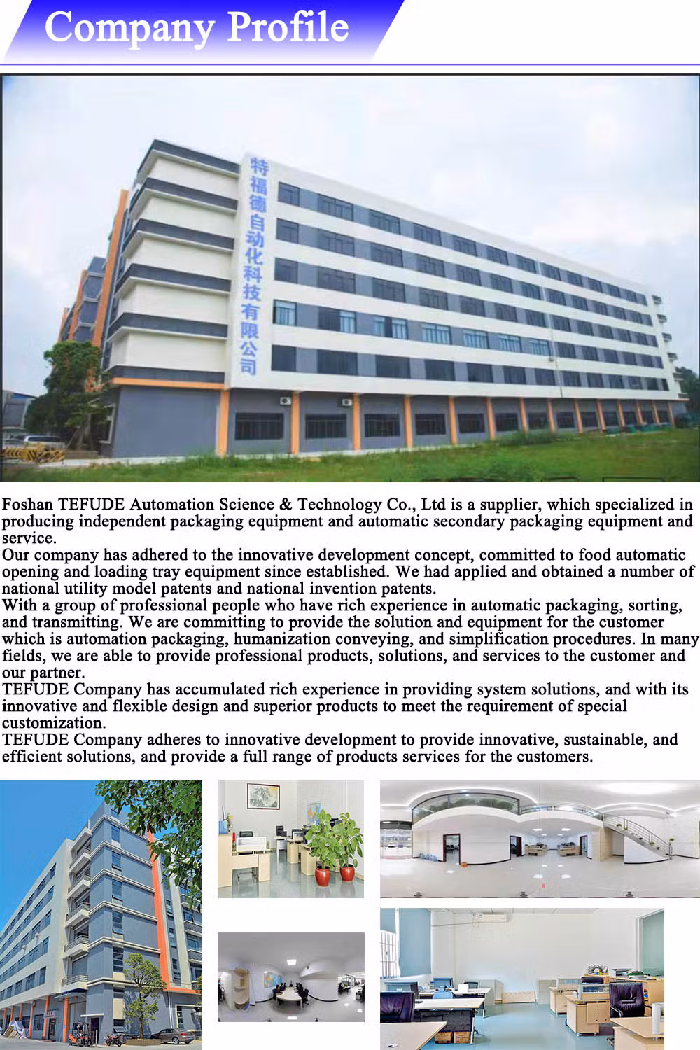 Horizontal Flow Bakery Rusk Wrapping Wrapper Equipment Pillow Pack Bag Automatic Lebanese Arabic Pita Bread Packing Machine
