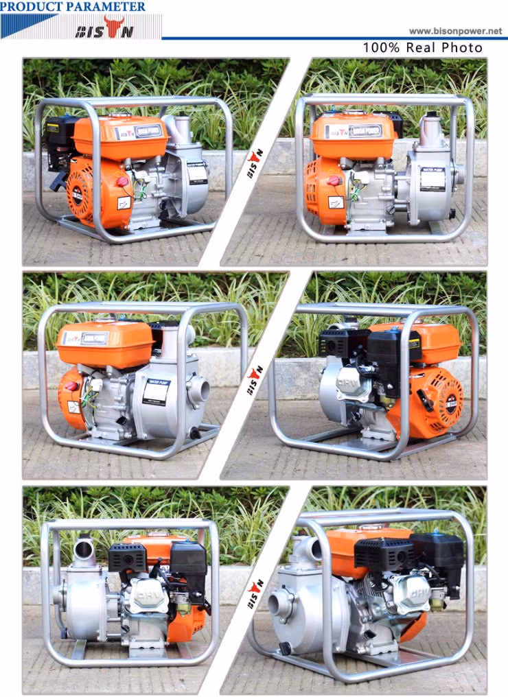 Bison Agricultural Irrigation Mini Gasoline China Water Pump Price