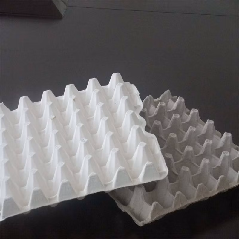 Whole Production Line of Egg Tray Machine