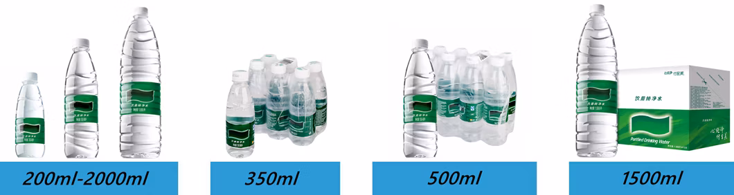 Automatic 300-1000ml Small Bottle Drinking Water Filling Production Line Machine