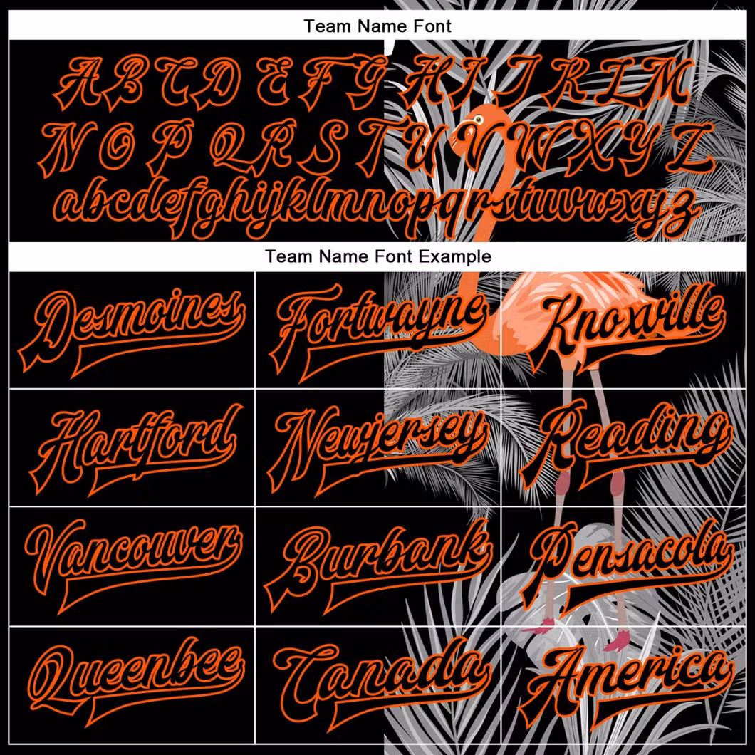Custom Logo OEM Fashion Clothes Outdoor Clothing Printed Winter Baseball Jacket for Man