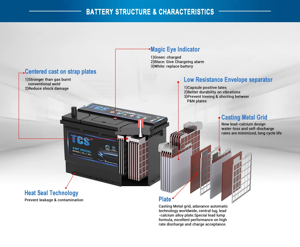 Tcs Custom-Made Special Dimension 115e41L (NS120L) 110ah Batteries Start and Stop for Trucks