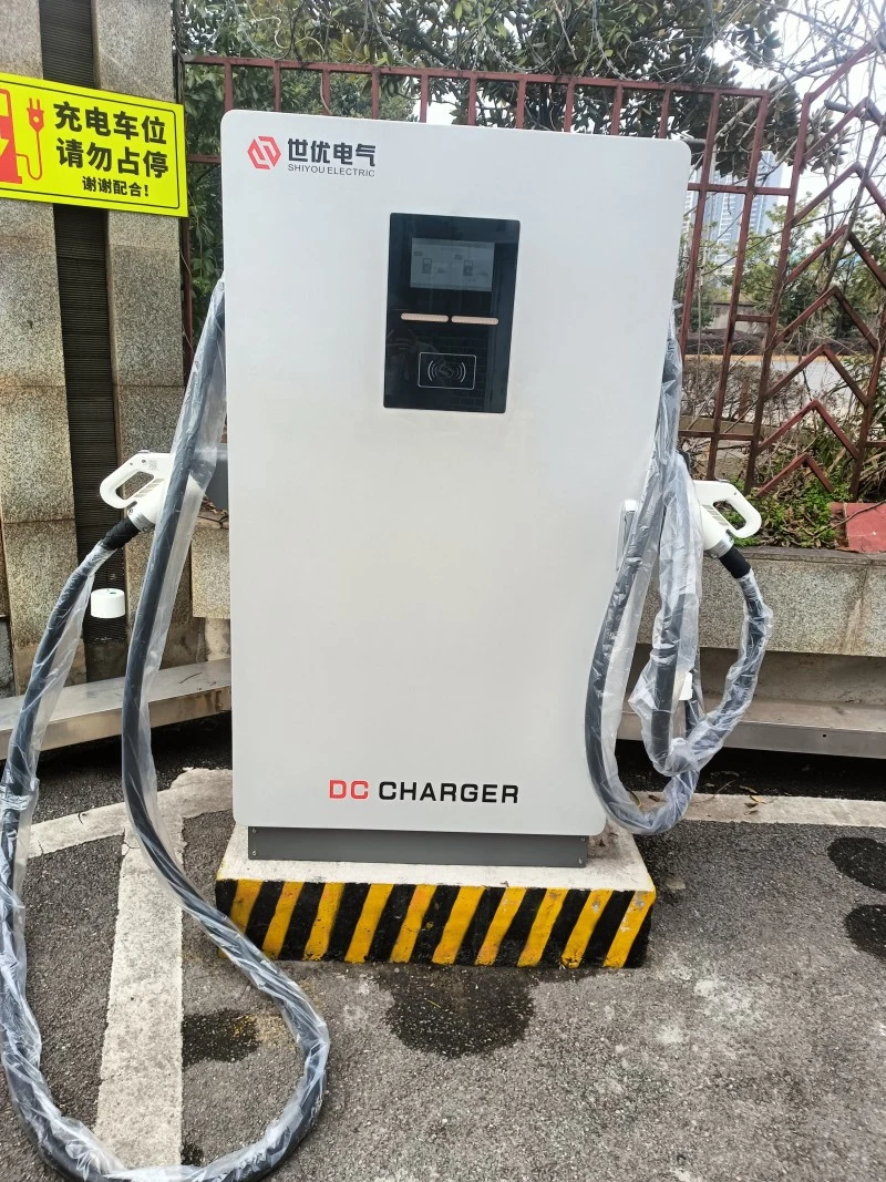 60kw/80kw/120kw/160kw Flexible Distribution EV Charging Rapid Charging Points for Business Center, Highways EV Charging Pile