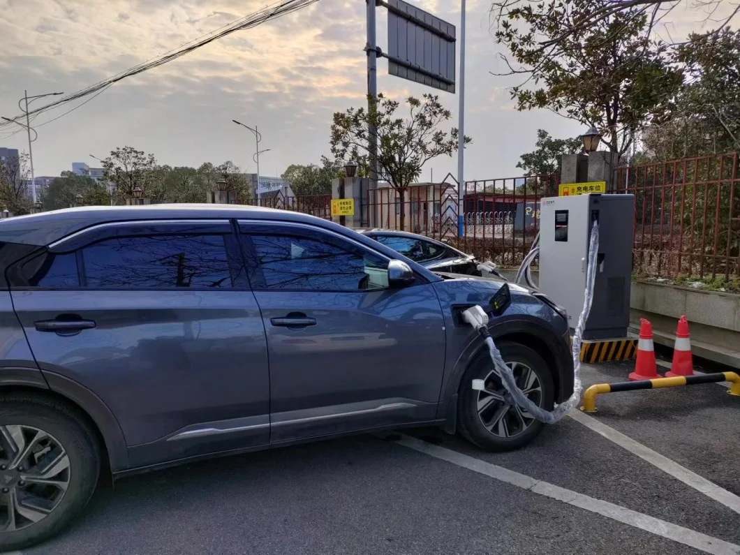 60kw/80kw/120kw/160kw Flexible Distribution EV Charging Rapid Charging Points for Business Center, Highways EV Charging Pile