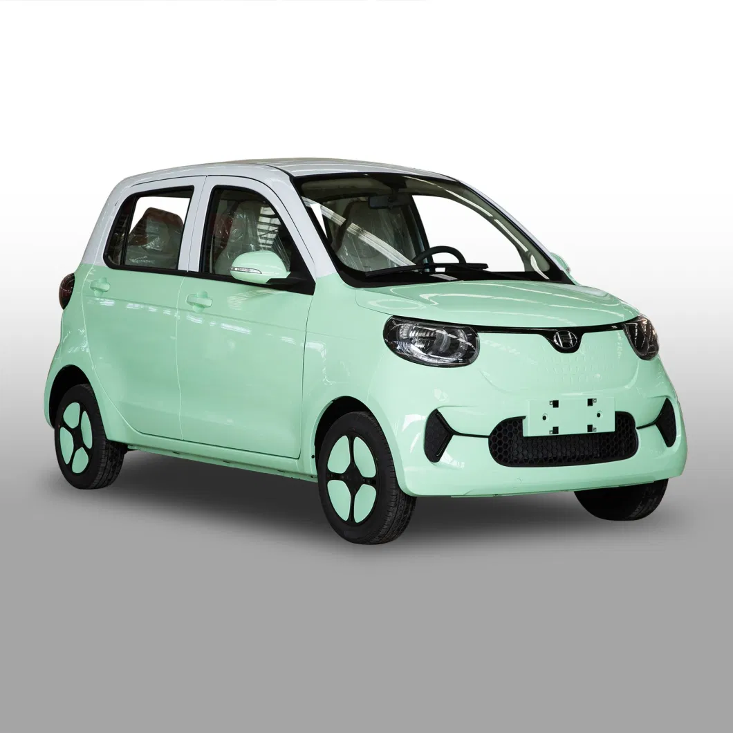 Classic Color Family Electric Vehicle with 4 Seats