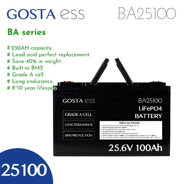 GOSTA BA25100 25.6V 25V 100ah 50ah 200ah Solar Charging Power LiFePO4 Battery