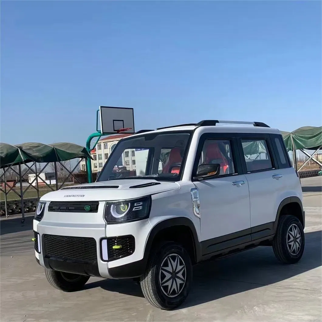 Rusion 2000W 50km/H Electric-Car Mini Electric Vehicle