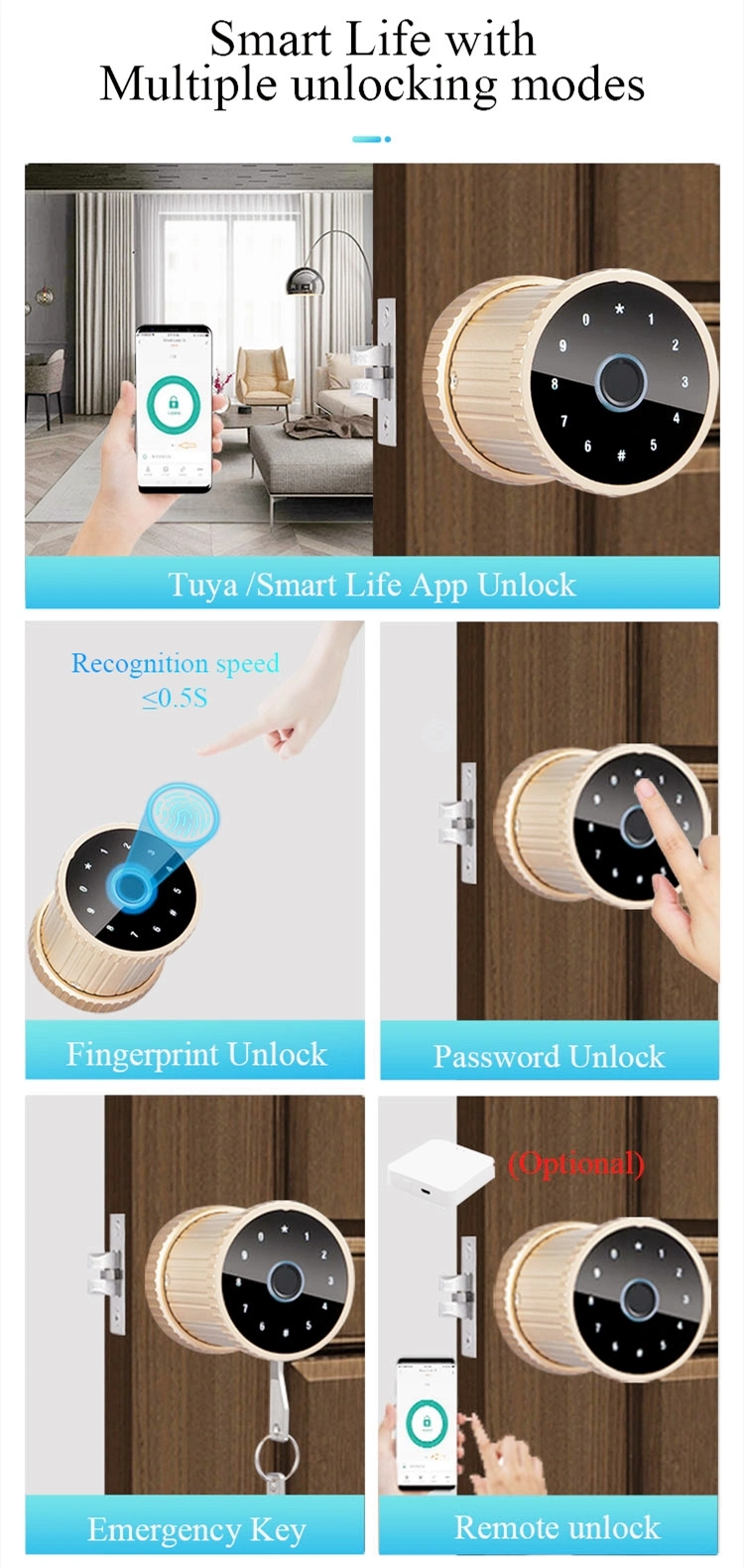 Tuya APP Knob Smart Door Lock Instead of Cylindrical Leverset with Fingerprint Password Mobile APP Unlock