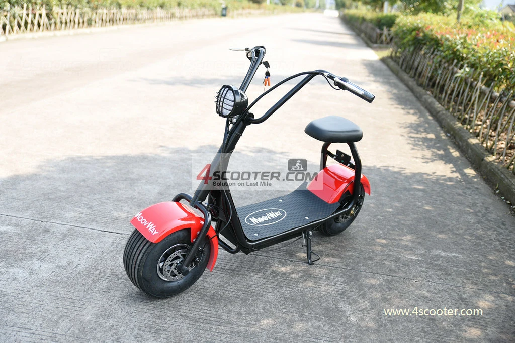 Wholesale Cheap Citycoco Girl Used Electric Scooters From China Direct Factory Electric Vehicles Large Manufacturers Sxt Charger