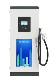 Factory Supply DC EV Charging Station CCS2 30kw Electric Car Charger with Highly Cost-Effective