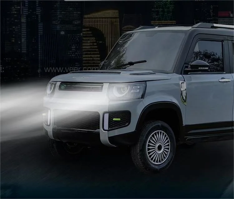 Rusion 2000W 50km/H Electric-Car Mini Electric Vehicle