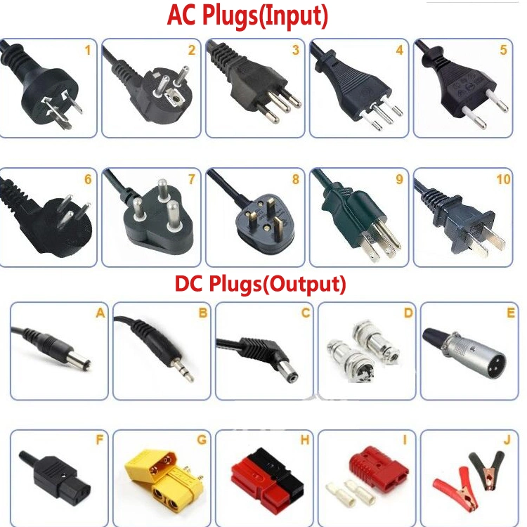 Professional Manufacturer Customized 240W 7s 24V/29.4V 4A 5A 6A Portable Lithium Battery Charger for Electric Vehicle /Car