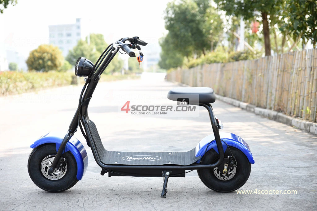 Wholesale Cheap Citycoco Girl Used Electric Scooters From China Direct Factory Electric Vehicles Large Manufacturers Sxt Charger