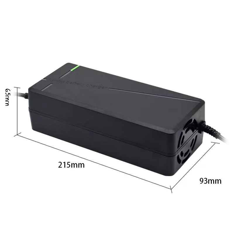 E-Fast Portable 60V 8A Automatic Electric Vehicle Lithium LiFePO4 Battery Charger