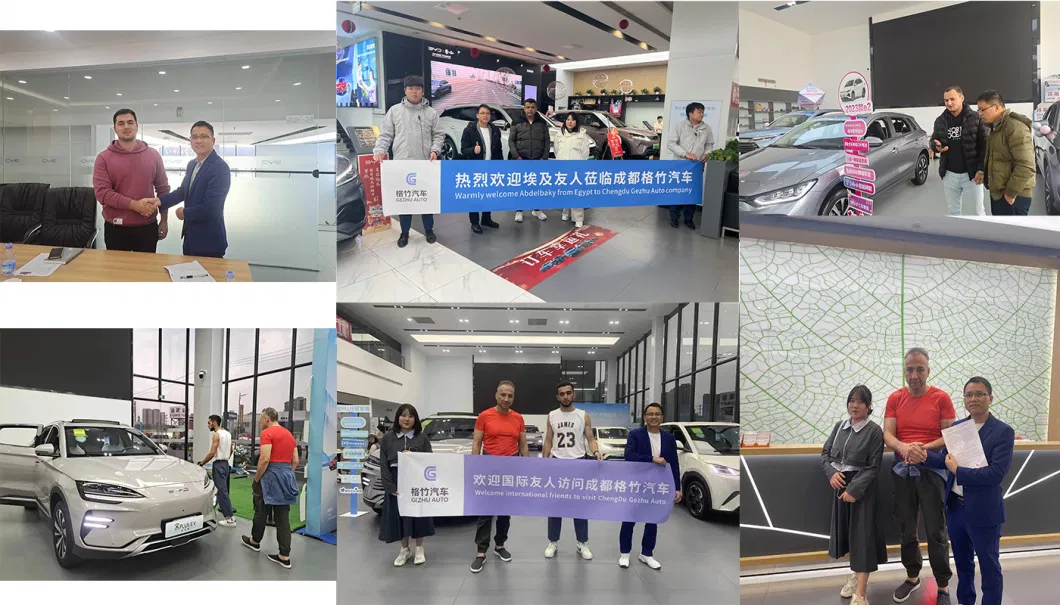 High Speed Fast Charging Byd Seagull Free Fly Edtion 305km 405km SUV New Energy Electric Car Electrical EV Vehicle